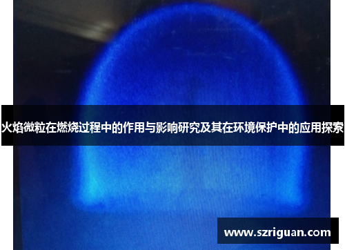 火焰微粒在燃烧过程中的作用与影响研究及其在环境保护中的应用探索